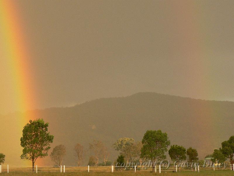 Rainbow, Boonah Fassifern Road P1080057.JPG